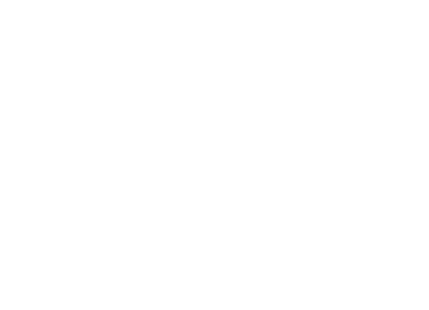 Festival selection