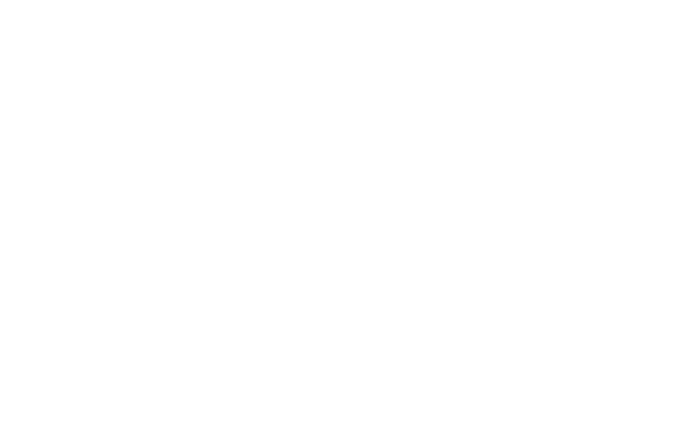 Festival selection