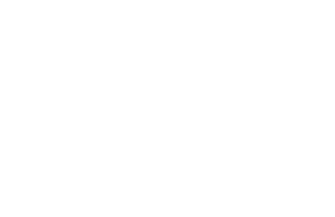 Festival selection