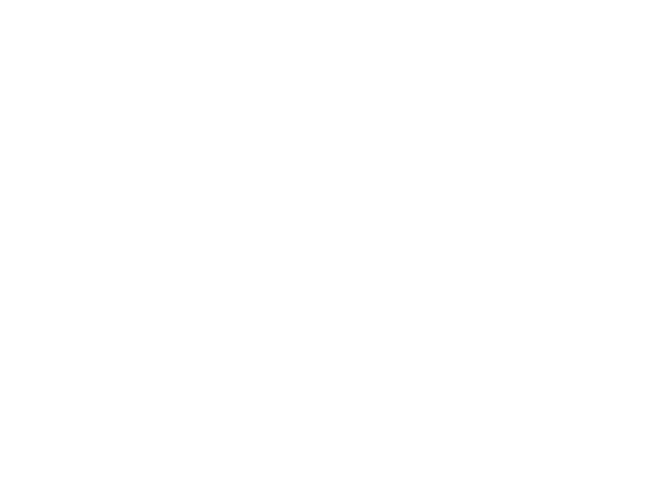 Festival selection