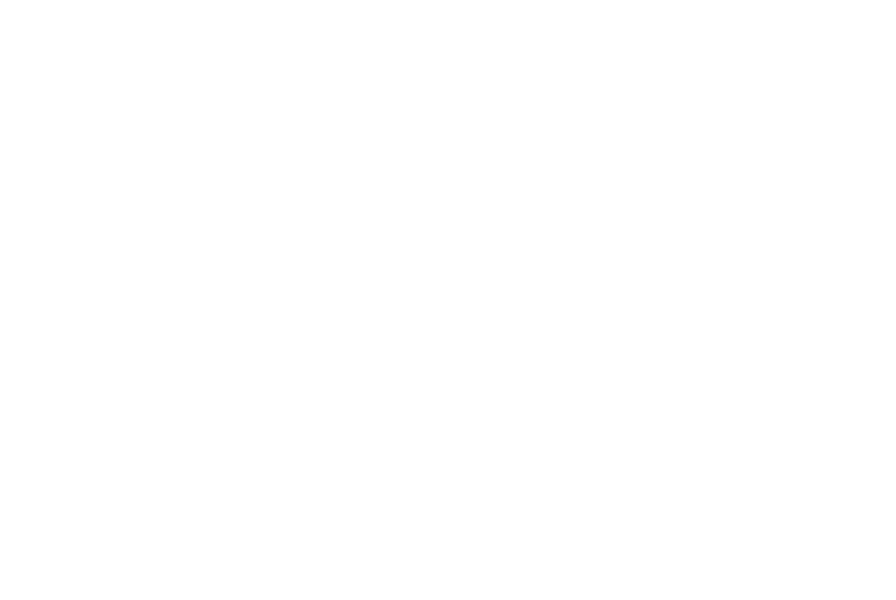 Festival selection