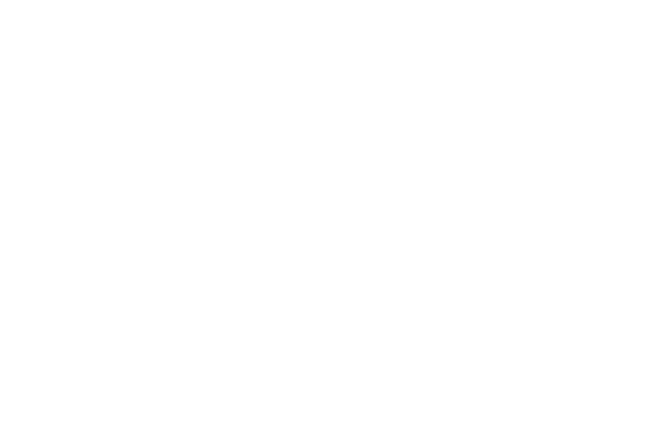 Festival selection